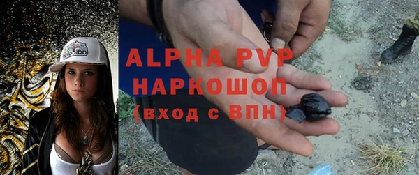 spice Ладушкин