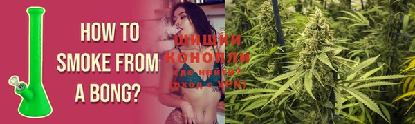 spice Ладушкин