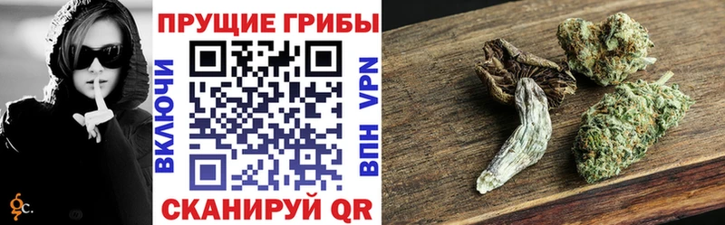 Псилоцибиновые грибы ЛСД  Отрадное 
