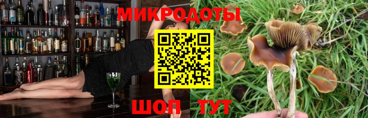 Галлюциногенные грибы Psilocybine cubensis  Псилоцибиновые грибы Magic Shrooms  Отрадное  Вход с VPN 